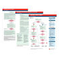 Pediatric Advanced Life Support (PALS) Emergency Code Cards, Set of 10.