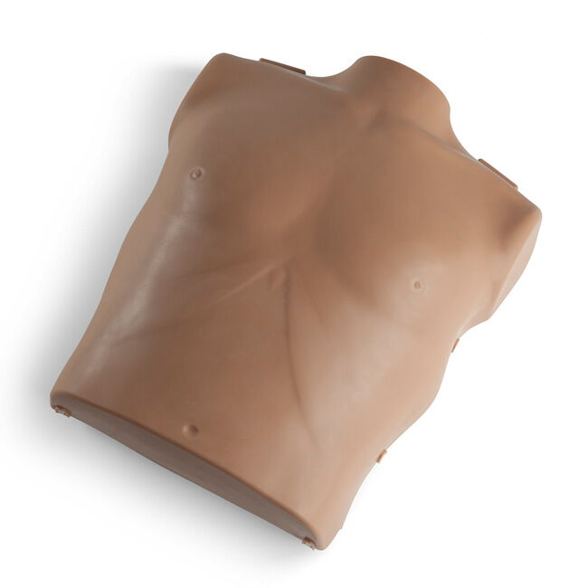 Prestan Professional Adult Torso Assembly with Monitor, Brown Skin.