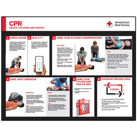 CPR & Conscious Choking First Aid Poster Set.