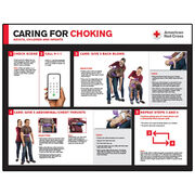 CPR & Conscious Choking First Aid Poster Set
