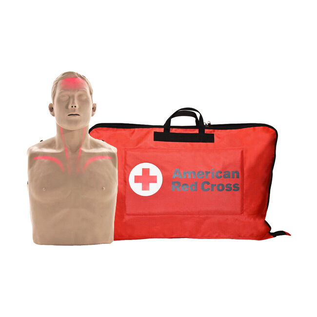 The Brayden/BigRed&trade; Adult CPR Manikin with Tan Skin next to an American Red Cross Bag.
