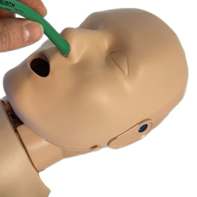 Nasopharyngeal airway (NPA) being inserted into the Prestan PRO+ Adult Manikin Head.