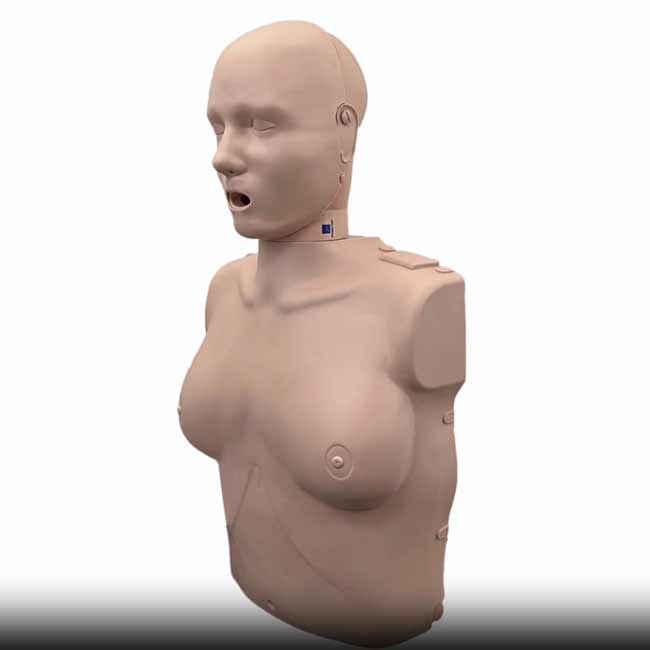 4 Prestan Professional Adult Female CPR Feedback Manikins with Tan Skin and Red Cross Carrying Case.