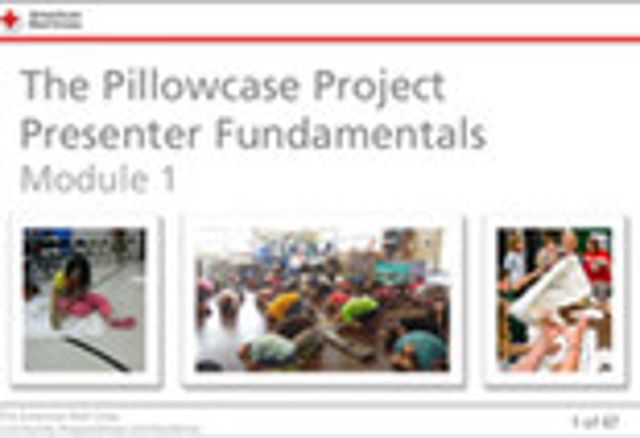 Pillowcase Project screenshot